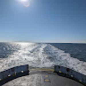 Meet your Posher, Dennis